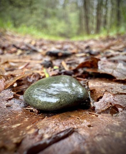 Artsy shot of a small, damp gray pebble on brown leaf covered forest floor with green woods in the distance.