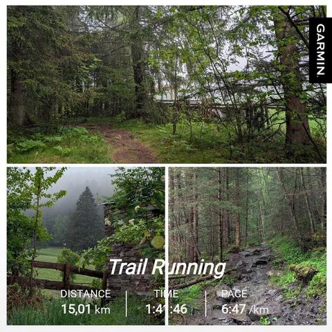 The image collage shows three different forest scenes in a misty, damp woodland environment:

1. The top image depicts a narrow dirt path winding through a mixed coniferous and deciduous forest. Evergreen trees dominate the left side, while younger deciduous trees with bright green leaves are visible on the right. In the distance, there appears to be some kind of structure or clearing visible through the trees.

2. The bottom left image shows the corner of what appears to be a rustic wooden cabin or structure with weathered wooden walls. There's a wooden fence in the foreground, and fog is visible in the background with tall evergreen trees. White flowering shrubs or plants are growing near the structure.

3. The bottom right image shows a muddy, eroded forest trail with exposed roots and rocks. The path appears wet and recently rained on, cutting through a dense stand of primarily coniferous trees with straight trunks.

All three images capture a moody, misty atmosphere in a temperate forest environment during spring.