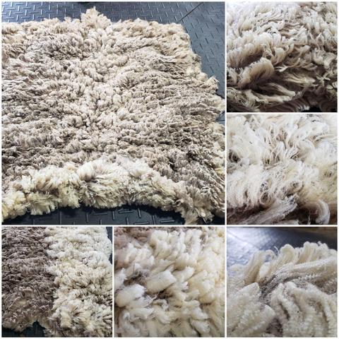 A collage of pics of a soft, fine, long, white fleece.