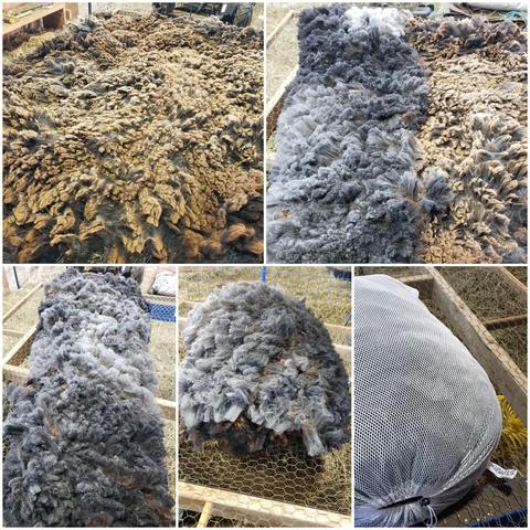 A collage of pics of a mottled gray fleece with sunbleached brown tips.