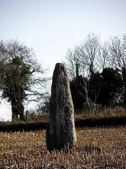 Menhir dit La Roche Longue à #SaintMarcan (#IlleEtVilaine) Construction Néolithique. Menhir dit La Roche Longue (cad. C 538) : classement par arrêté du 4 août 1933.
Suite 👉 https://monumentum.fr/monument-historique/pa00090872/saint-marcan-menhir-dit-la-roche-longue
#Patrimoine #MonumentHistorique
Photo CC-BY-SA 4.0 : GO69