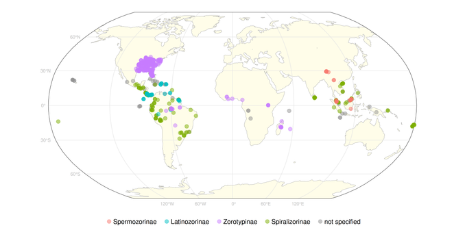 World map with depicted occurrence points of Zoraptera records by subfamily