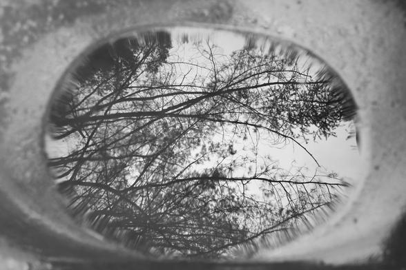 This is a black-and-white photograph showing the reflection of thin tree branches in a shallow puddle. The puddle is oval-shaped and bordered by a rough, blurred edge, likely part of a concrete or earthen surface. The branches appear delicate and tangled, silhouetted against a pale, overcast sky.