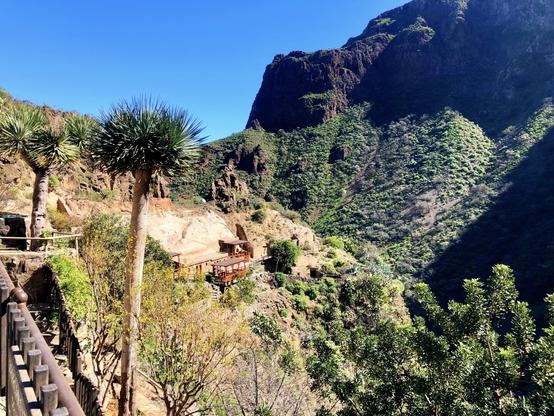 Gran Canaria, Barranco de Guayadeque on a winter day. This is one of my favourite hiking spots in the island. Guayadeque is quite a special place where you get to marvel at the majestic landscapes of mountains with their own vegetation, but also about how humans managed to make a living in them. Literally. Like in this snap shot, where you can see a number of rural holiday houses embedded in the rocks, with a lovely path to walk around the mountain while admiring several impressive dragos (Dracaena draco). One can feel so tiny in front of such sublime scene(s) 😍👍🏻