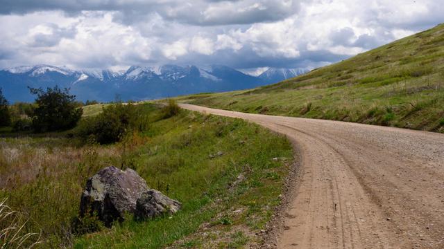 A winding dirt road meanders through green fields, flanked by patches of grass and rocks. In the background, snow-capped mountains rise under a cloudy sky.