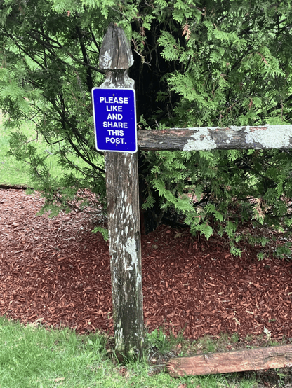 When the fence wants to go viral too