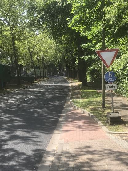 Links die zweispurige Straße und rechts der nun auf die Fahrbahn führende Radweg. Rechts auf dem Grünstreifen ist ein Vorfahrt-Achten-Schild und darunter ein gemeinsamer Geh- und Radweg Ende Schild aufgestellt worden.