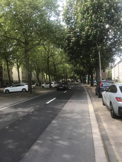 Fahrbahn zweispurig. Rechts auf dem alten Radweg parken zwei PKWs. Links auf dem Alleestreifen zwischen den beiden Fahrbahnrichtungen ebenfalls wieder.