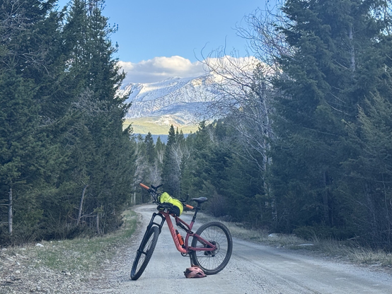 A pink mountain bike is parked on a forest service road on the continental divide near Anaconda Montana. Fir and pine trees line the road. Snow covered peaks can be seen through the gap in the trees made by the road.
