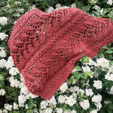 photo of a rusty orange doll sized lacy blanket laid over a bush with small white flowers.
