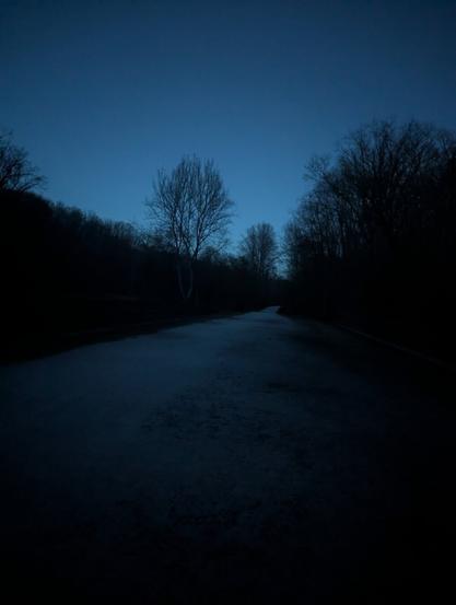 Dark blue sky, cement trail, dark trees