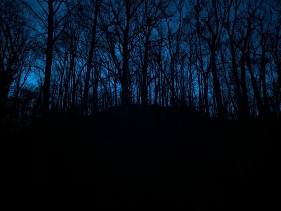 A hill with dark line of trees and blue sky background