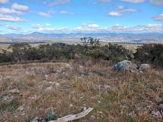 looking over a wide, tree-filled urban valley toward a distant range of mountains. blue sky above with scattered clouds