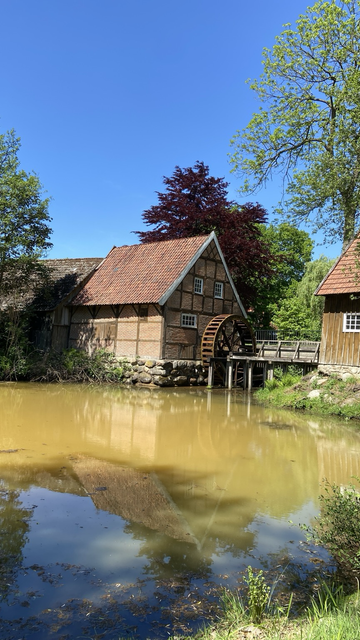 Eine alte Fachwerkmühle mit Feldsteinfunfament mit Nebengelass, davor ein Mühlenteich. Blauer wolkenloser Himmel.