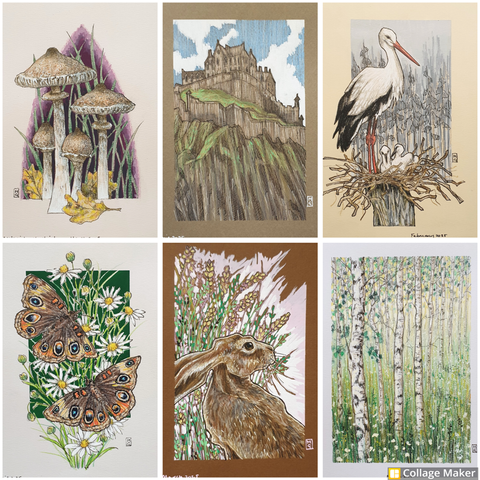 A photo collage of some of my artworks:
Mushrooms, Edinburgh Castle, a white stork, buckeye butterflies, a hare and a birch tree landscape.