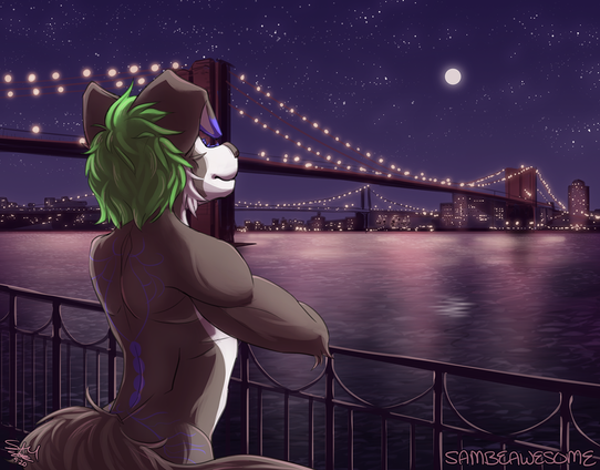 A digital artwork of a nighttime scene with a furry anthro character, seen from behind, with dark grey fur and white accents with lime green short hair. His elbows are resting on a railing that looks out to a wide waterway with a bridge that goes to a city. Lights go across the bridge and the city is illuminated with lights, with the moon and stars shining in the sky.