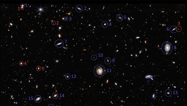Unexpected JWST Observations Hint We Might Be Inside A Black Hole