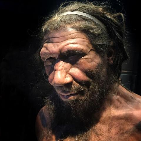 How Neanderthals lost their Y chromosome