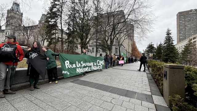 Des manifestants tiennent des affiches. Ils sont collés les uns à côté des autres devant l'Assemblée.