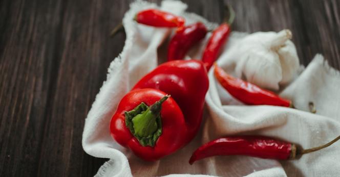 Ojibwe Recipes: Explore Traditional Dishes and Flavors of the Ojibwe People