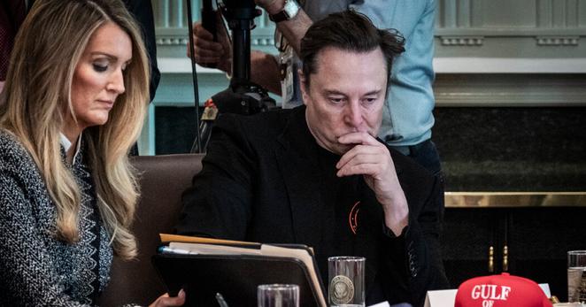 Elon Musk at a cabinet meeting in the White House last month. Elon Musk at a cabinet meeting in the White House last month.