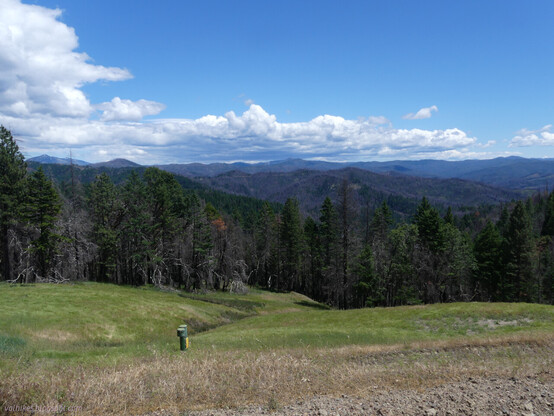 Looking across a green meadow to a line of trees and lots of mountain peaks. The higher peaks seem to be developing a cloud system, but there's not much energy in it yet.