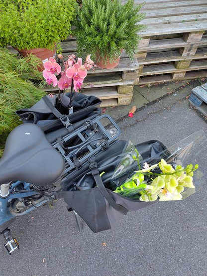 The image displays a close-up of a bicycle with a black, fabric saddlebag attached to its rear rack. The bag holds two vibrant orchid plants: one with bright pink flowers and the other with pale green blooms. The bike is parked next to a collection of potted evergreen plants arranged on a wooden palette, enhancing the contrast of the vivid floral colors against the surrounding greenery and muted bike accessories.