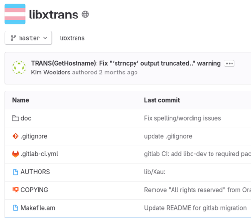 A screenshot of the gitlab repo where you can see the icon of the repo is the trans flag