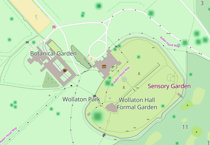 Some large and small trees in Woollaton Park