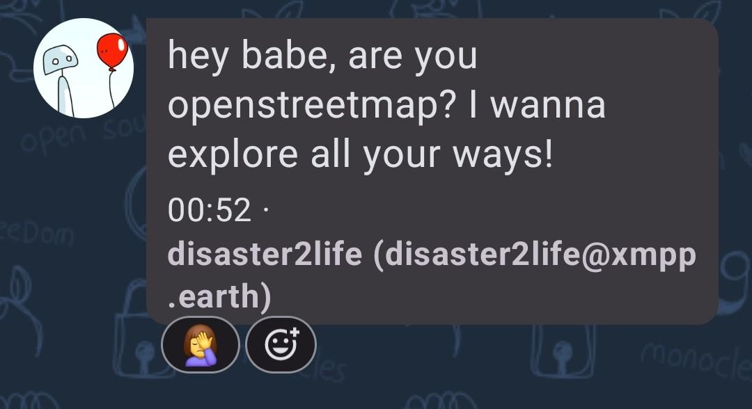 Disaster2Life in OSM-IN XMPP channel: "hey babe, are you openstreetmap? I wanna explore all your ways!"