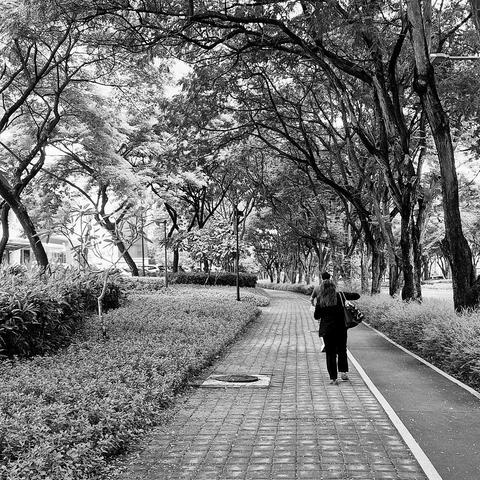 Black and white photograph of a tree-lined footpath with two people walking on it away from the camera in the distance