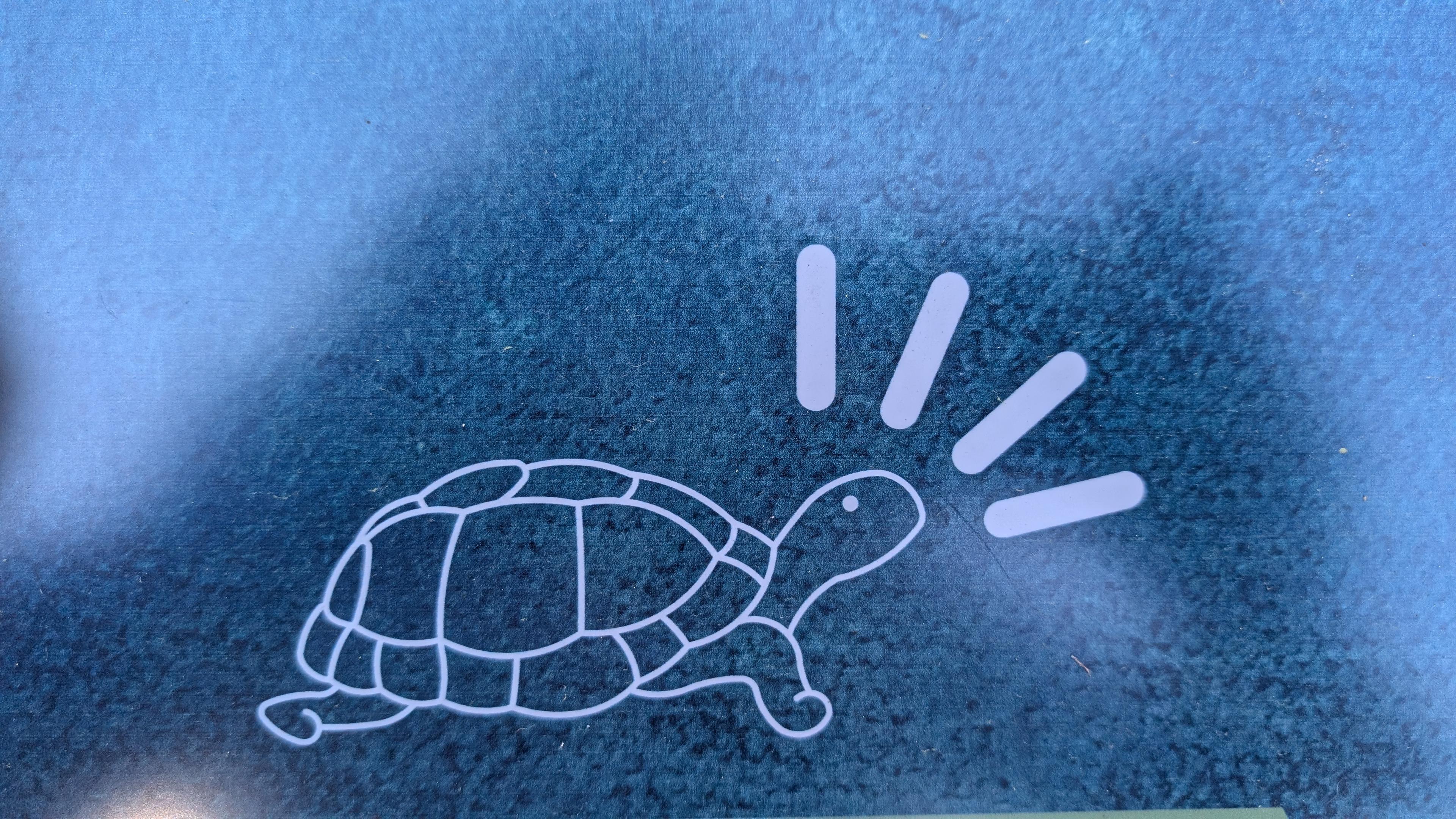 A tortise or turtle icon on a park sign. The sign is blue. The turtle has 4 lines coming from its head as if to say "Attention!"
