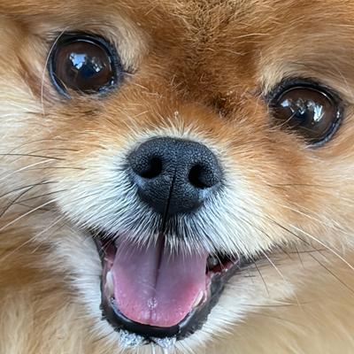 joe@f.duriansoftware.com