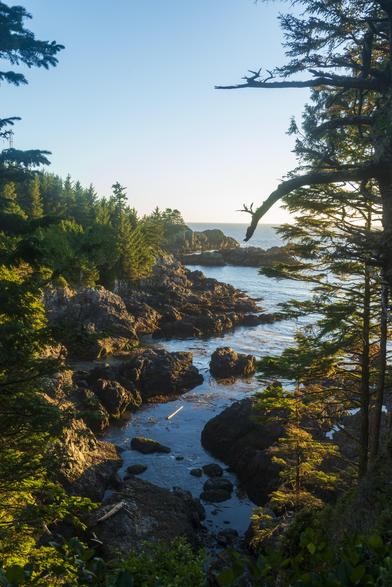 Another alcove in the cliff shoreline. This one has a lot more pools and rocks, and large logs are visible floating or lodged against the rocks. It is late afternoon, and the light is coming at a shallow angle, throwing long shadows. Tall pine trees in the foreground hide parts of the shoreline, but otherwise, it is visible for a long distance, with plenty of trees and rocks.