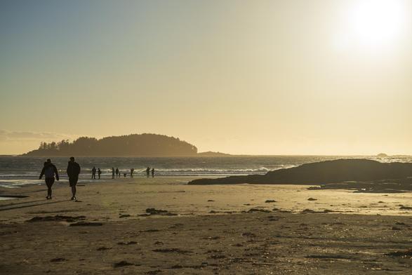 A beach landscape on late sunset. The scene is backlit and has a pale yellow cast. People and their dogs walk along the beach while the waves crash vigorously at the surf. There’s a large island in the not far distance, and as everything else in the photo, it’s mostly a silhouette.