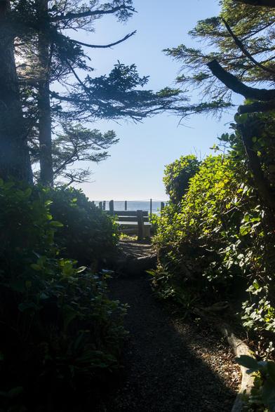 A small bench is set against a fenced ledge in a cliff shore. There;s a narrow dark path leading towards it, surrounded by bushes and trees. The sea is visible in the far distance below.