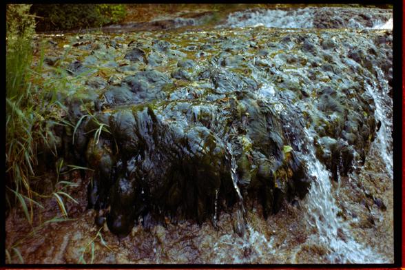 close up of some very wet moss growing over rocks, and water running over it. on the left of the image is some grass also growing there