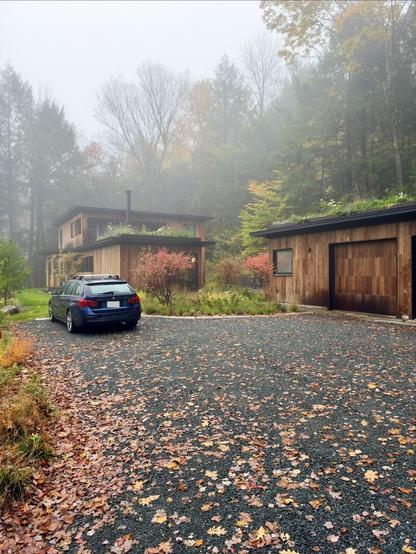 Our house with a bunch of bare maple trees and leaves in the driveway. Heavy rain last night pretty much cleared everything out.