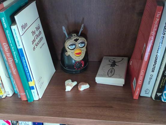 A bookshelf. On it, among other things, is a skinned furby