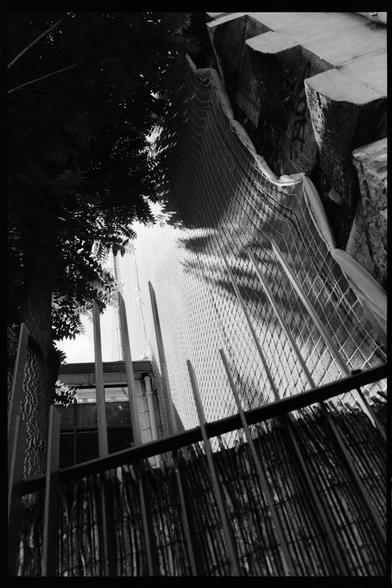 black and white picture showing a wide angle of a wall on the right side, a tree on the left side, and a fence on the bottom, forming a triangle. the fence has a sort of interesting texture due to the privacy screen set behind it, and the spikes on top are varying heights. the wall has tags on it on one side, which is roughly textured, but a large tall tarp / netting has been put over it. light is streaming from the center of the triangle towards the camera, with shadows from the tree leaves visible on the wall