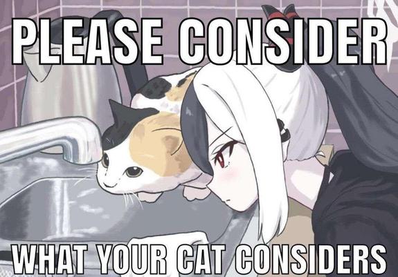 Kayoko from blue archive and a cat looking at running tab water at the sink. Text around the image "please consider what your cat considers