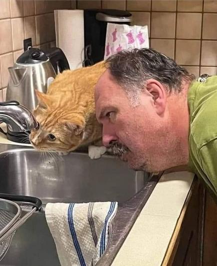 The original image of all the meme based variants showing an older man looking at a dripping sink in consolidation with his orange cat who is fascinated by the dripping.