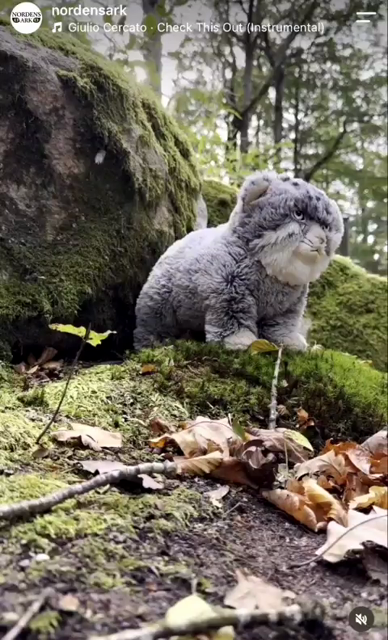A plush Pallas cat sitting in a forest. An alive Pallas cat appears in the back, takes a look and sees the toy. It grabs it and clumsily takes into its den.