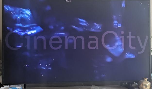 Photo of a dark scene in a camrip where you cannot miss the giant full screen text saying "Cinema City." In light sequences it is mostly ignorable, but this movie takes place primarily under water and inside of a whale. 

(Thankfully the whale kept eating bioluminescent jellyfish so we could actually see inside the whale.)
