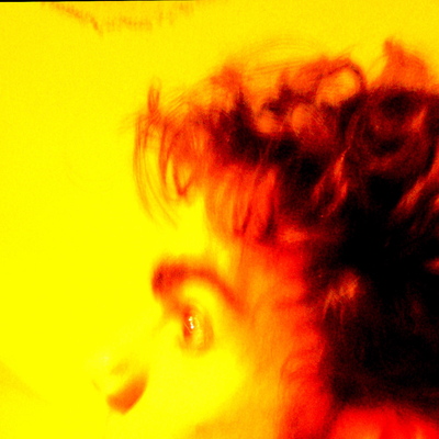 david's avatar