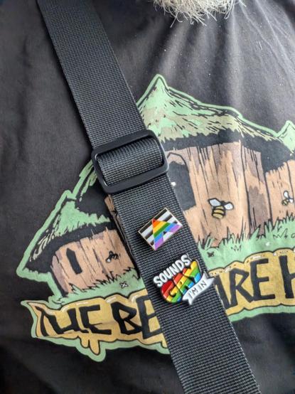 My camera bag has two badges on its strap. One is an Ally flag and the other is one that says "Sounds gay - I'm in!"