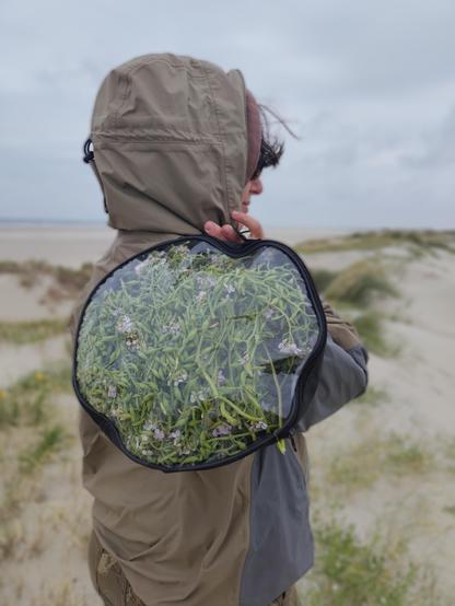 Person in green jacket with their back turned to the camera holding a bag of beach mustard pods