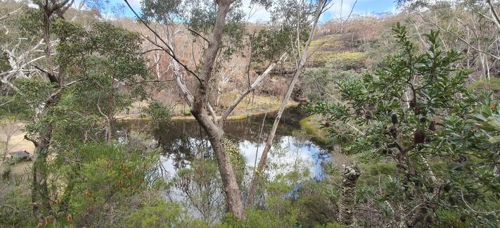 An elevated view of the Ingar dam, through, gums, banksia, and other natural bushland. The water is stained brown by tannin. We can see signs of recent hazard reduction in the bush on the far side of the water, which reflects blue sky and light cloud. A picnic table is centre left. My pack and gloves are on it.  If you zoom right in you can make out parts of my bike leaning against a large tree.