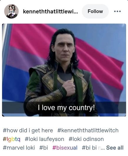 Screenshot of Tumblr post by KennethThatLittleWitch. Shows a still of Loki as played by Tom Hiddleston, with his fist to his chest, in the foreground. With a pride flag in the bisexual colours (Three horizontal bars of colour. Magenta at the top. Royal blue at the bottom. A narrower bar of lavender between them.) in the background. Text on the image reads, "I love my country." 

There are also the tumblr hashtags reading, "#how did i get here #kenneththatlittlewitch #lgbtq #loki laufeyson #loki odinson #marvel loki #bi #bisexual #bi bi m [text obscured] ... See all".