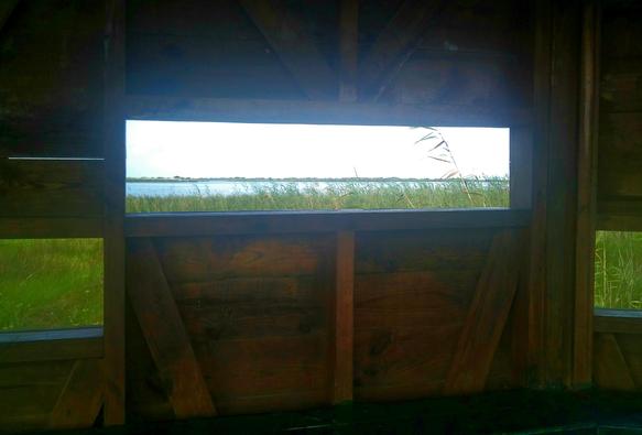 The photograph shows, from the inside, the rectangular observation Windows in a birdwatching post built of wood in the Ebro Delta area.